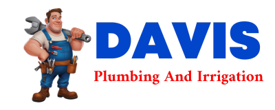 Trusted plumber in DYER